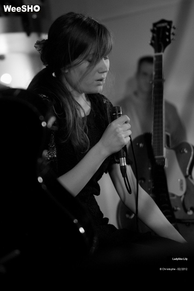 33/43 photos du spectacle Ladylike Lily