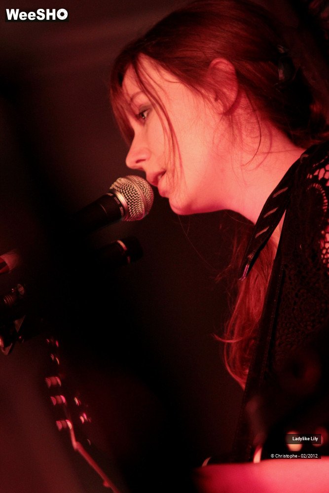 39/43 photos du spectacle Ladylike Lily