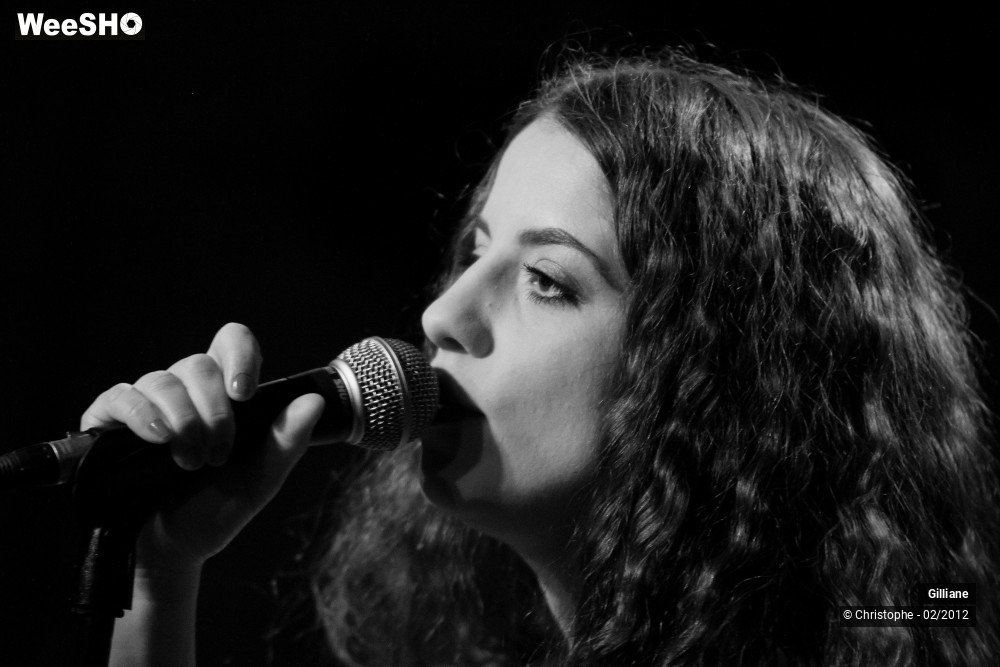 8/38 photos du spectacle Gilliane