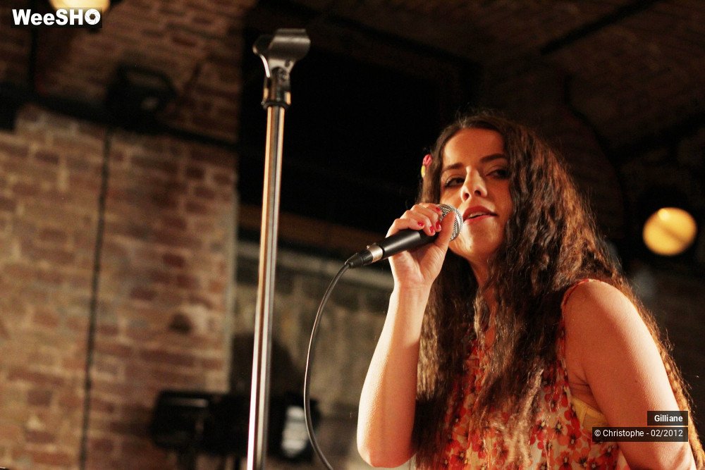 11/38 photos du spectacle Gilliane