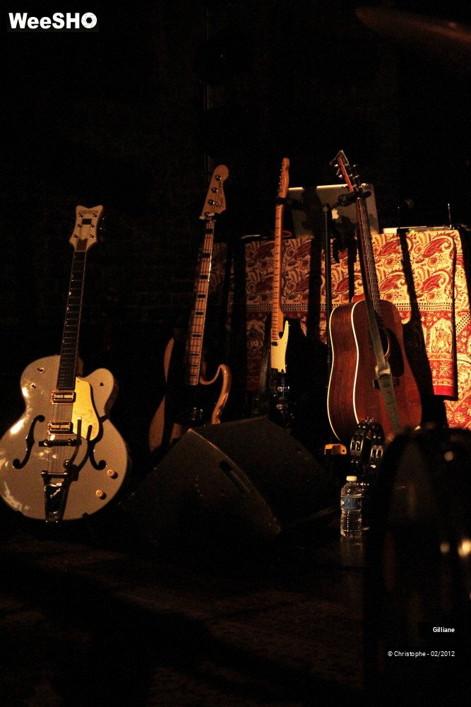 29/38 photos du spectacle Gilliane