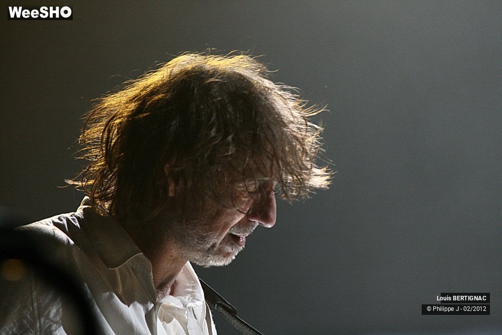 13/20 photos du spectacle Louis BERTIGNAC