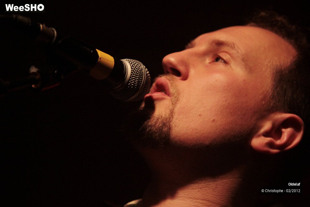 3/45 photos du spectacle Oldelaf 