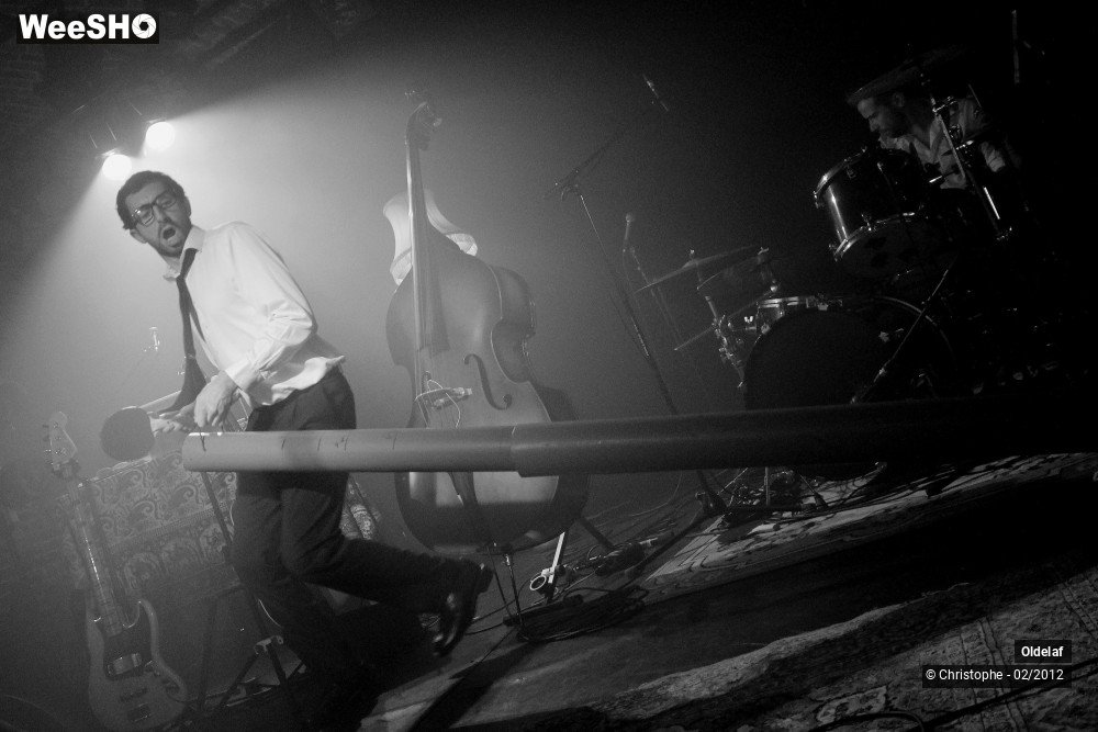 4/45 photos du spectacle Oldelaf 