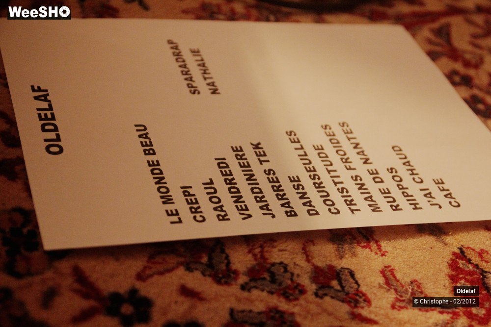 10/45 photos du spectacle Oldelaf 