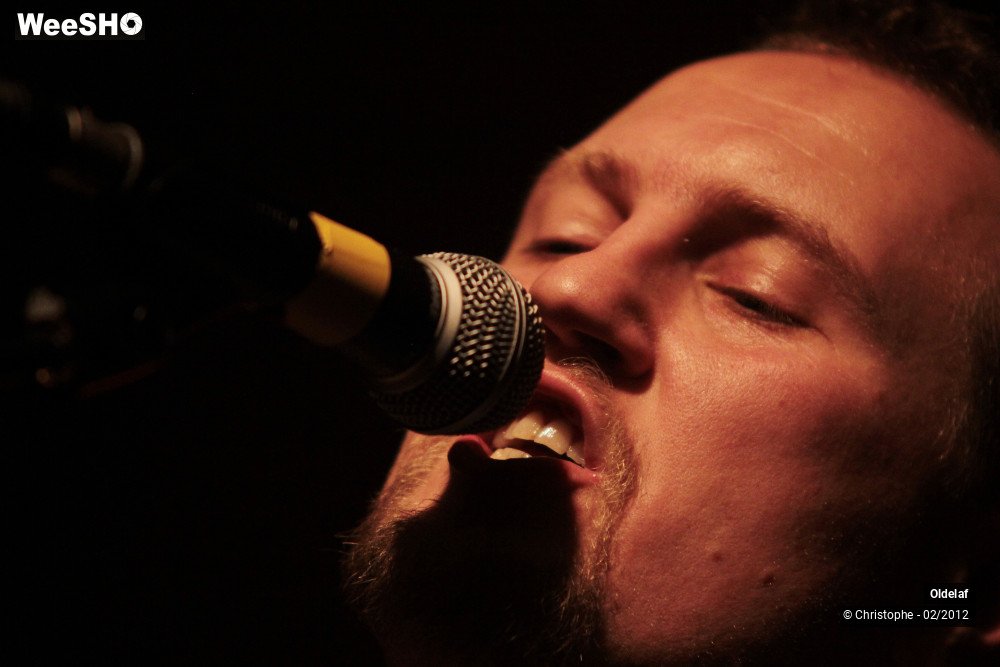 15/45 photos du spectacle Oldelaf 