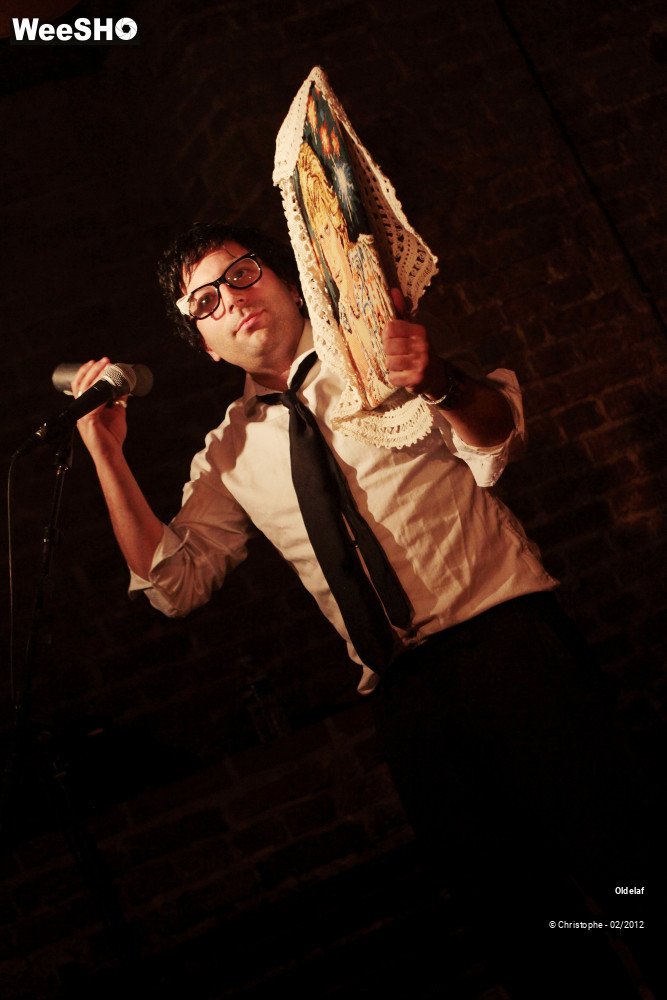 17/45 photos du spectacle Oldelaf 