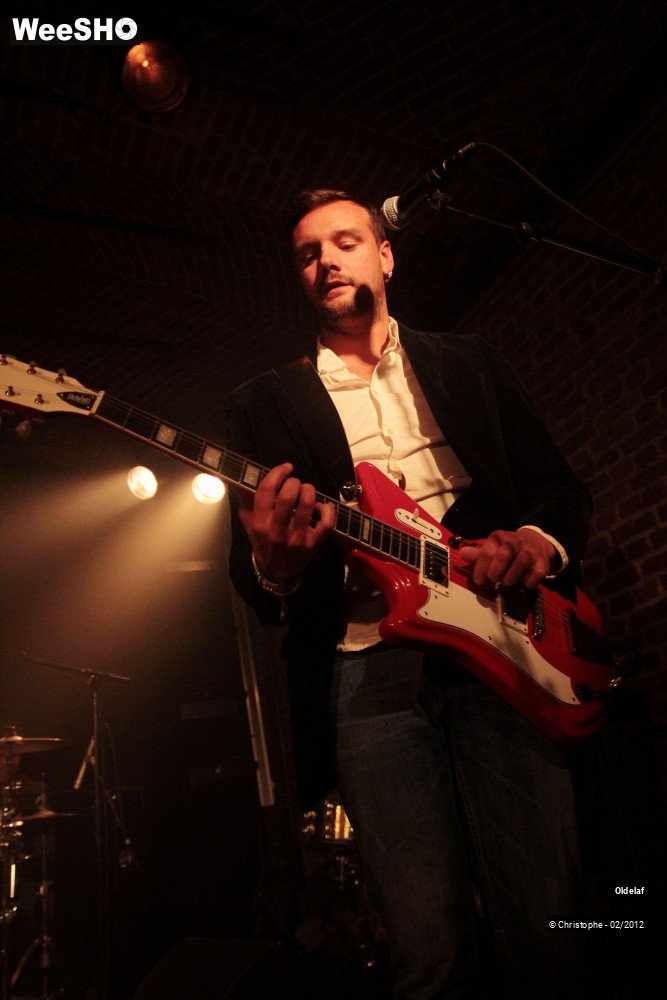 29/45 photos du spectacle Oldelaf 