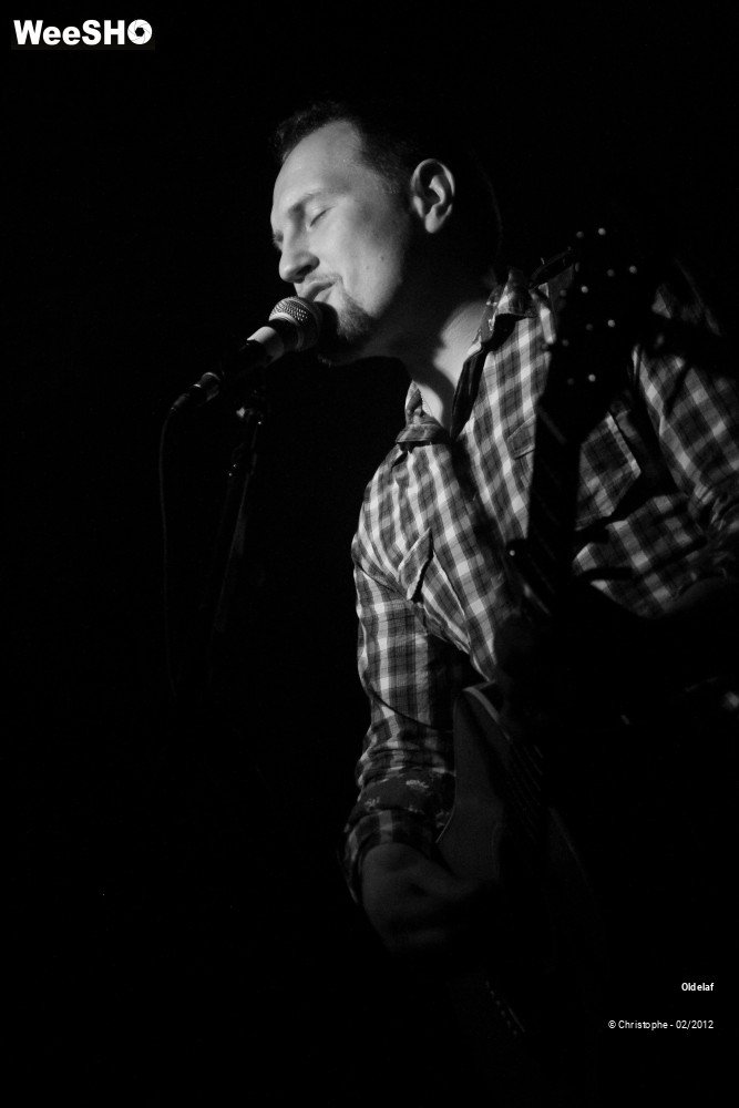 30/45 photos du spectacle Oldelaf 