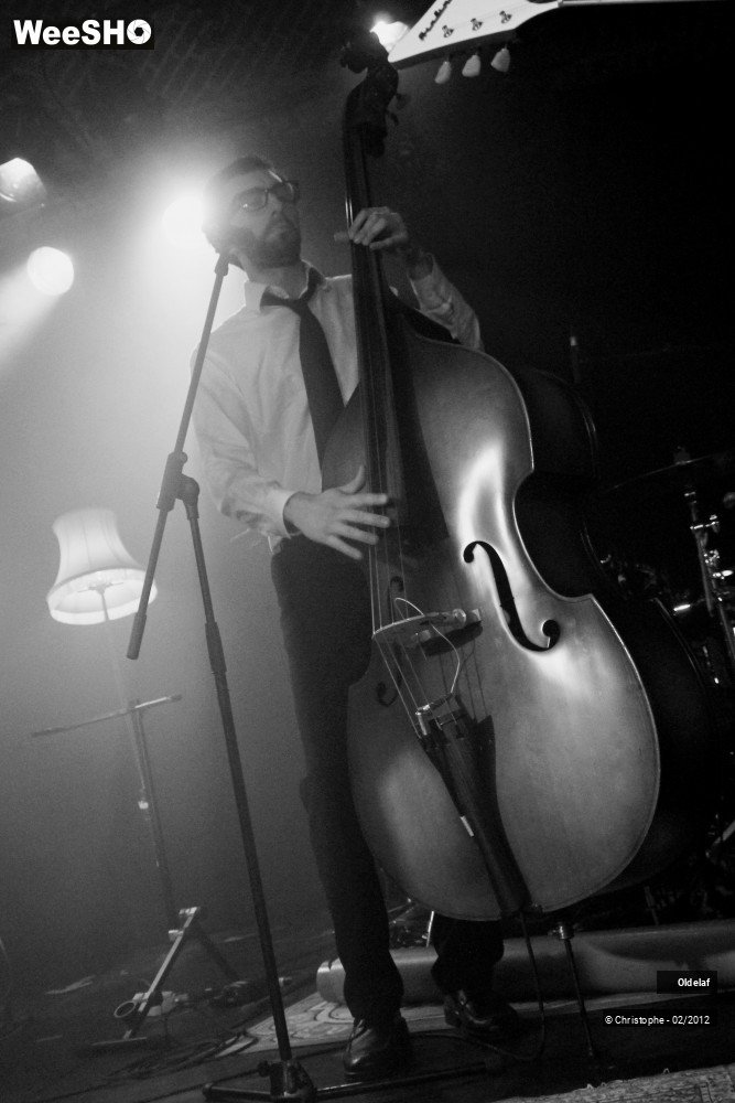 31/45 photos du spectacle Oldelaf 