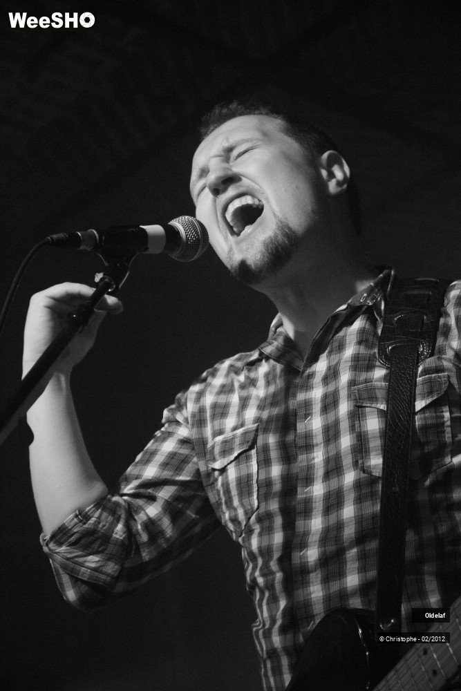 36/45 photos du spectacle Oldelaf 