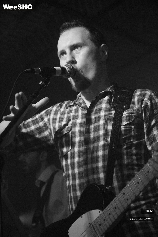 38/45 photos du spectacle Oldelaf 