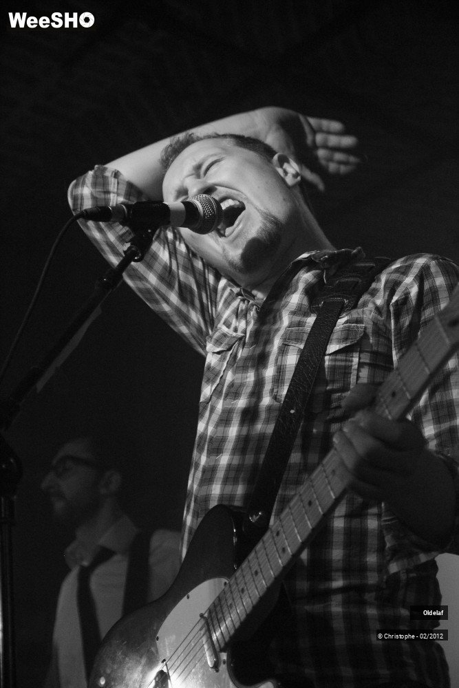 41/45 photos du spectacle Oldelaf 