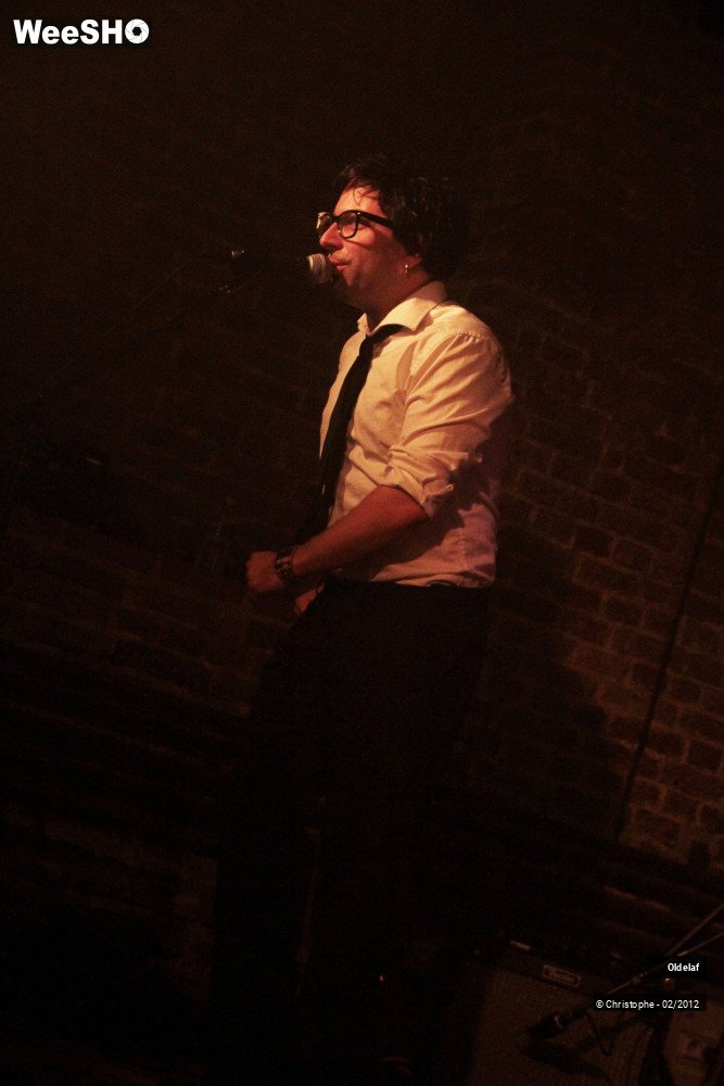 42/45 photos du spectacle Oldelaf 