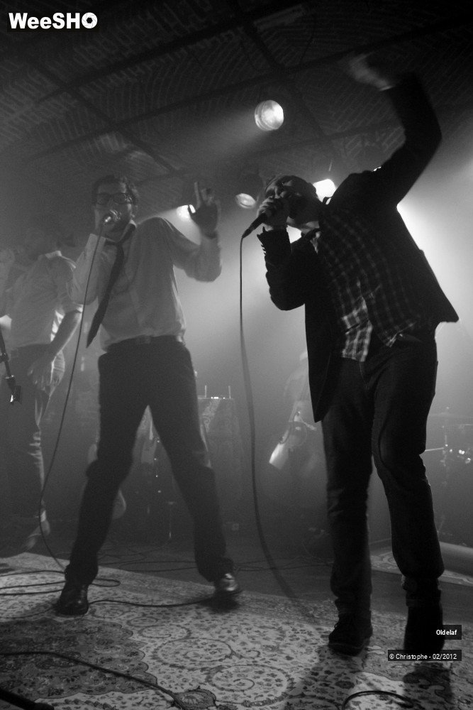 43/45 photos du spectacle Oldelaf 