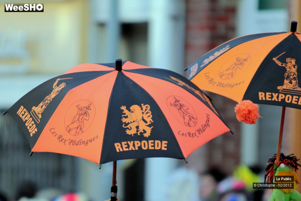 8/50 photos du spectacle Bande de Dunkerque