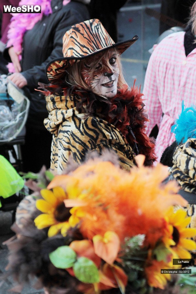 43/50 photos du spectacle Bande de Dunkerque