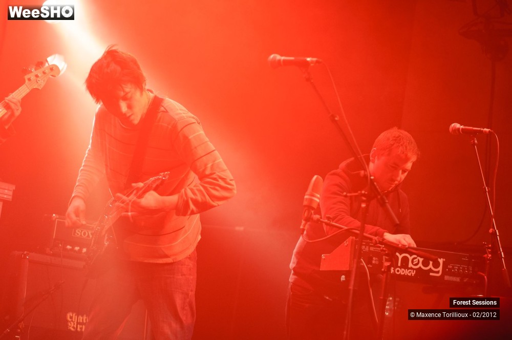 7/37 photos du spectacle Forest Sessions #3