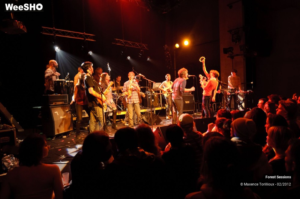 12/37 photos du spectacle Forest Sessions #3