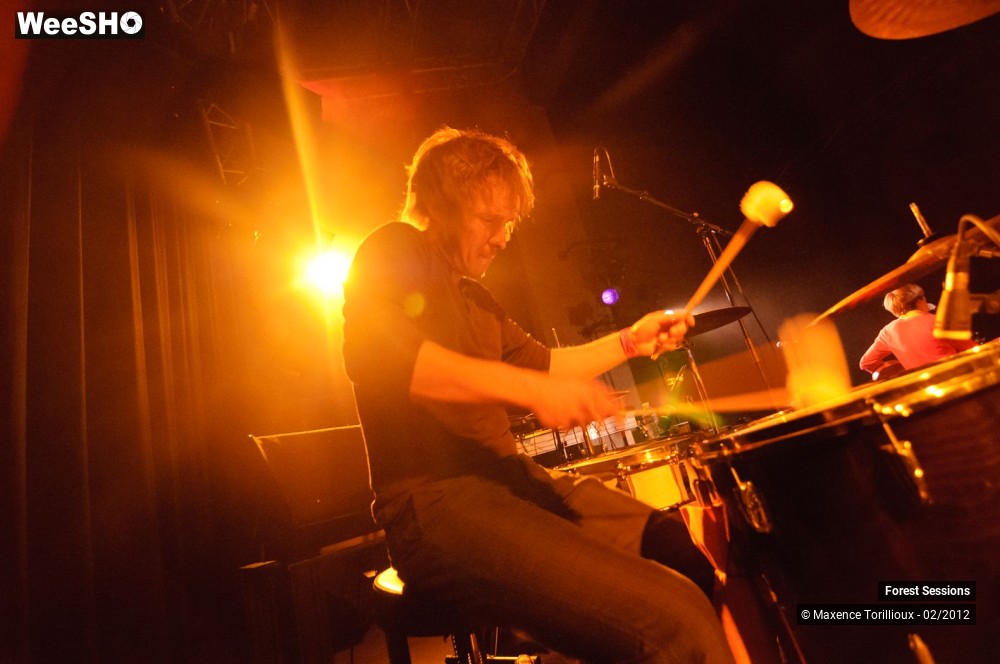 13/37 photos du spectacle Forest Sessions #3