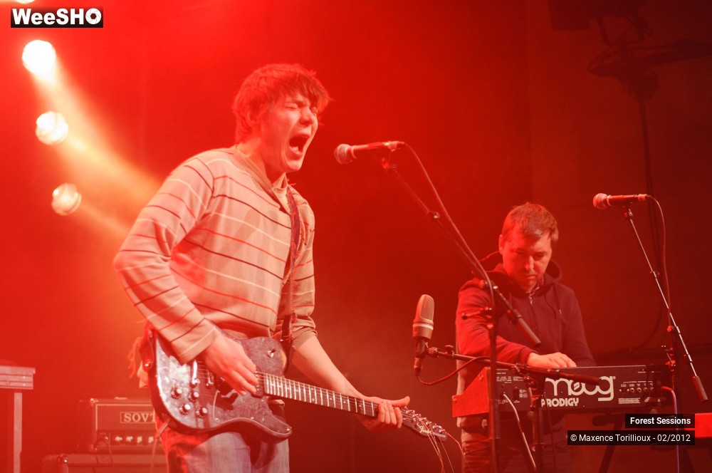 30/37 photos du spectacle Forest Sessions #3