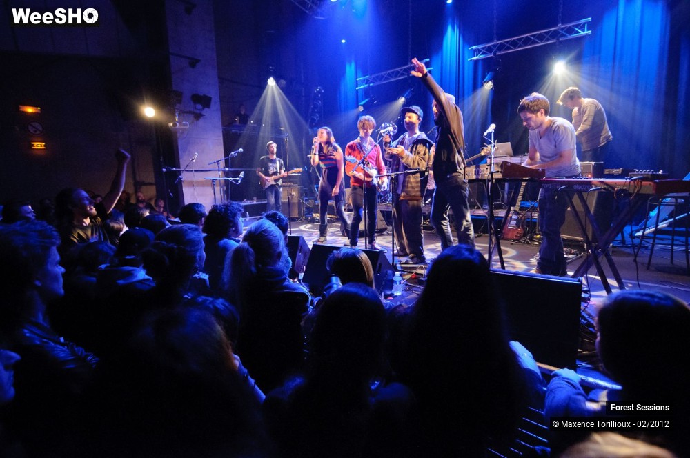 31/37 photos du spectacle Forest Sessions #3