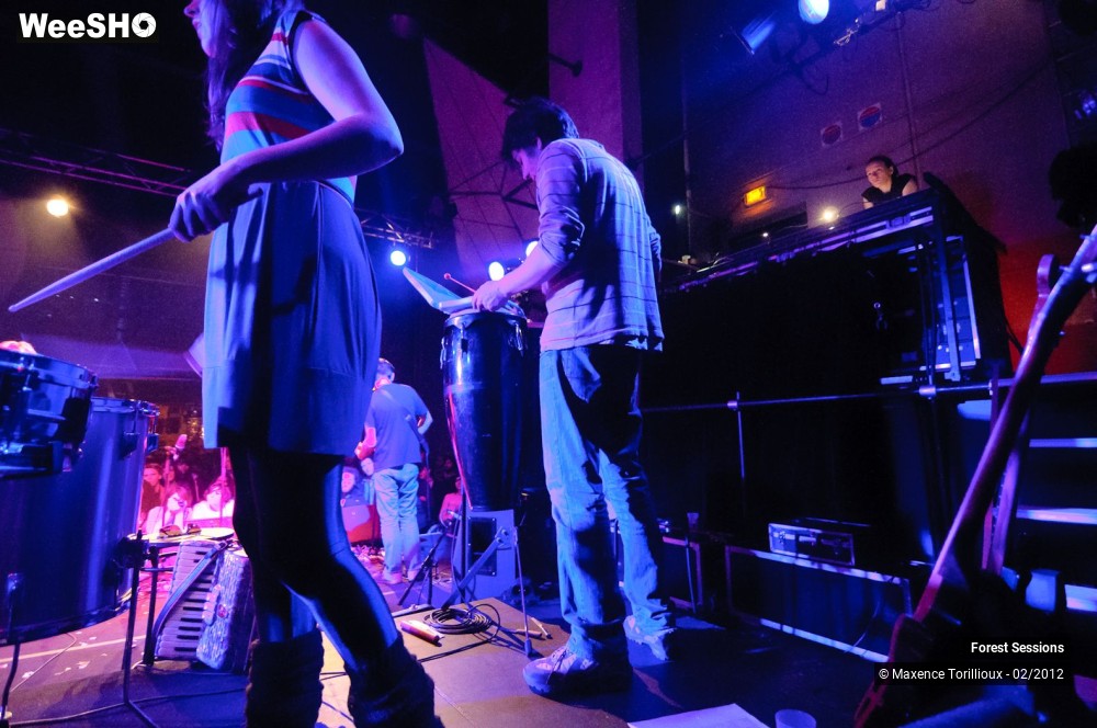 36/37 photos du spectacle Forest Sessions #3