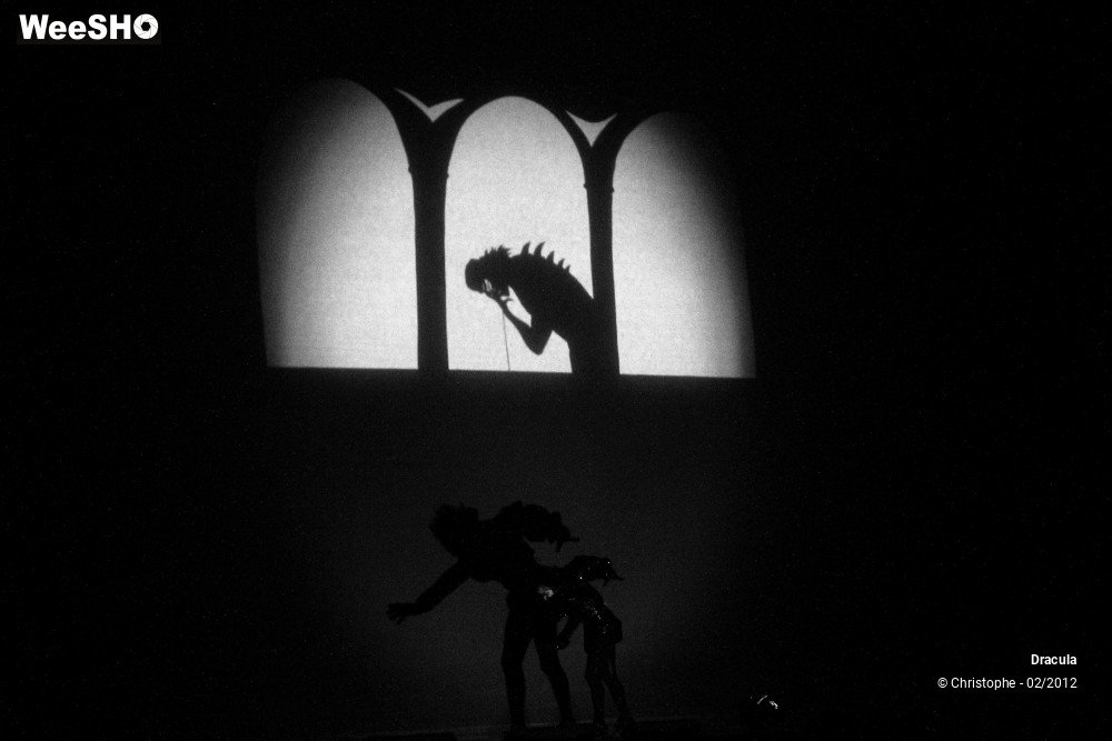 12/47 photos du spectacle Dracula