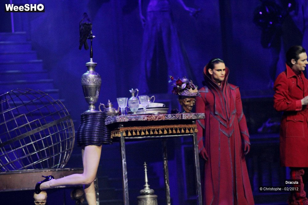 23/47 photos du spectacle Dracula