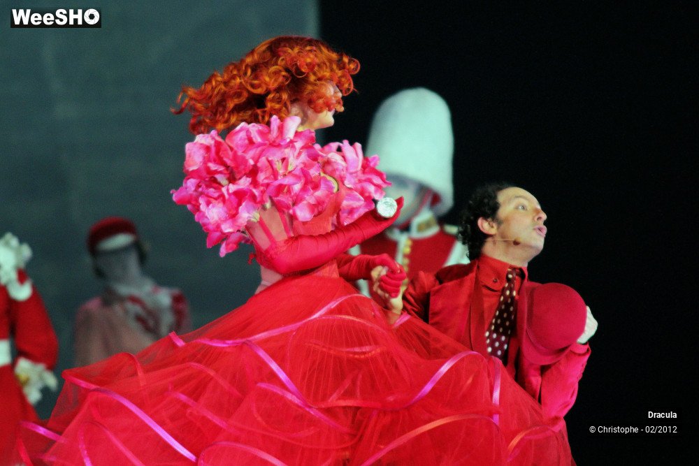 34/47 photos du spectacle Dracula