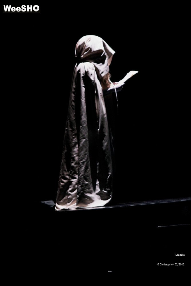 43/47 photos du spectacle Dracula