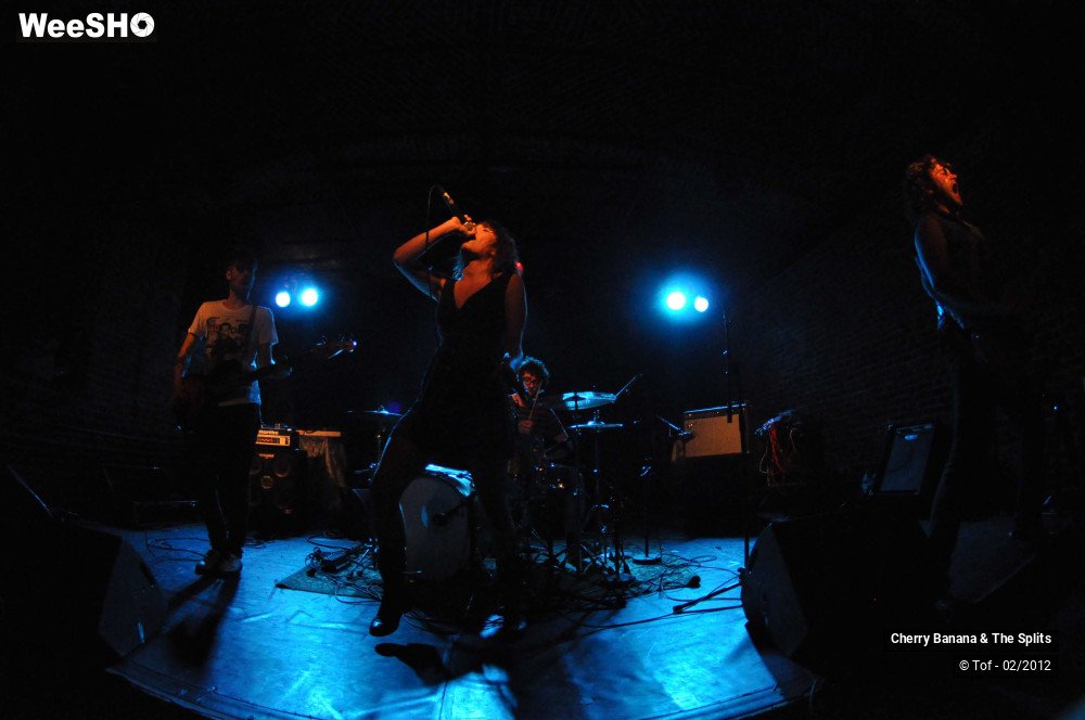 7/30 photos du spectacle Cherry Banana & The Splits