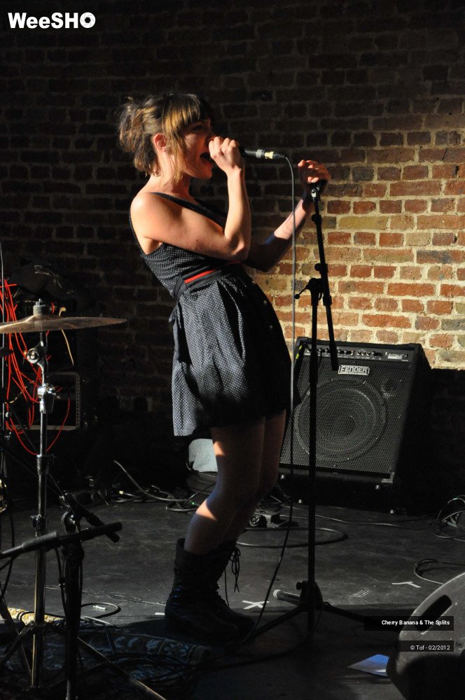 25/30 photos du spectacle Cherry Banana & The Splits
