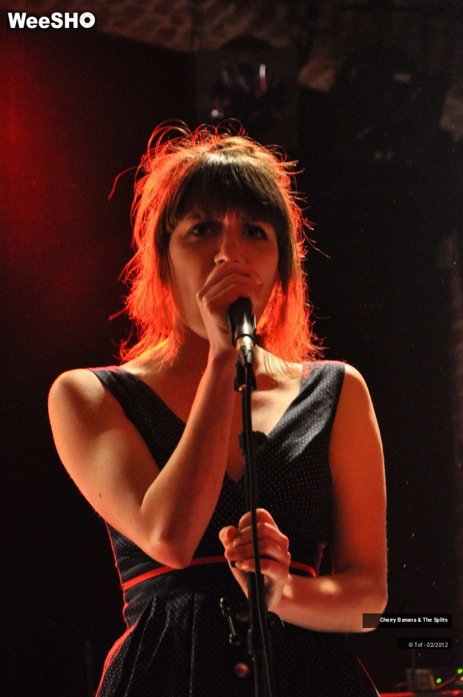 26/30 photos du spectacle Cherry Banana & The Splits