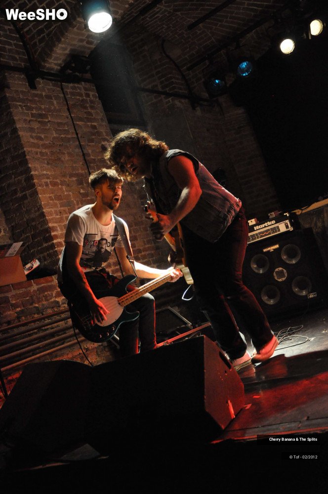 27/30 photos du spectacle Cherry Banana & The Splits