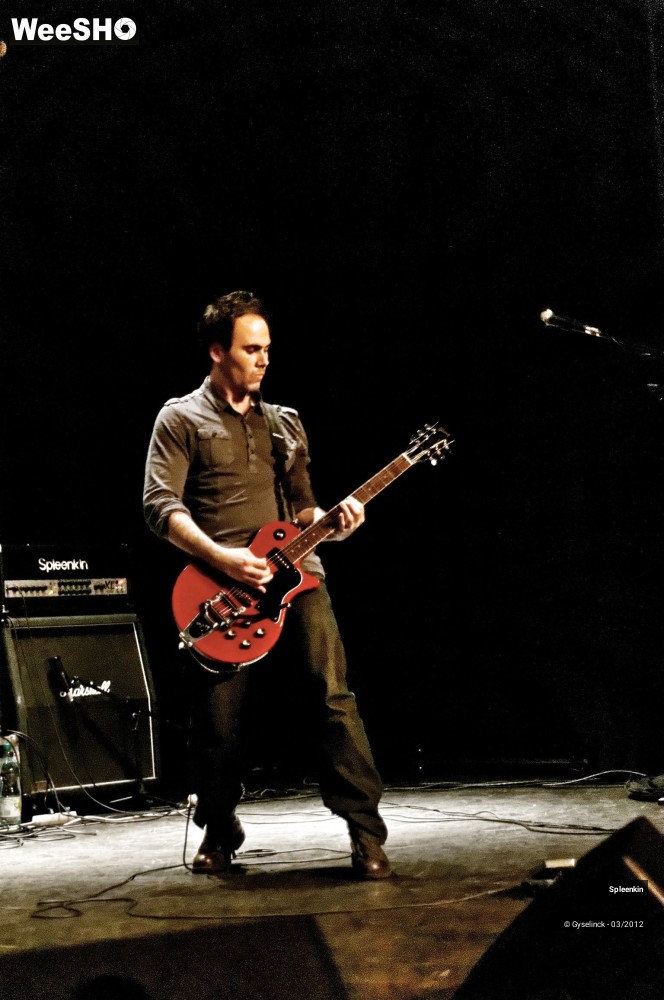 25/31 photos du spectacle Spleenkin