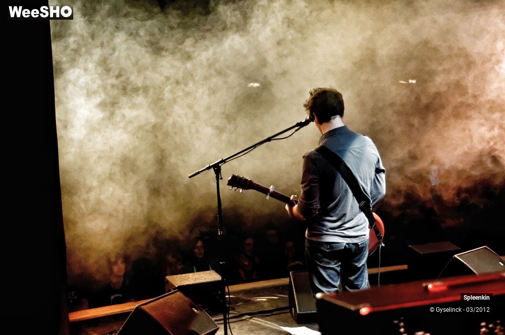 30/31 photos du spectacle Spleenkin