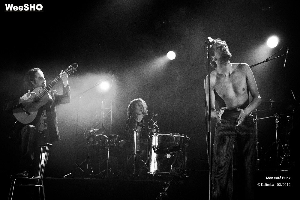 29/47 photos du spectacle Mon Coté Punk