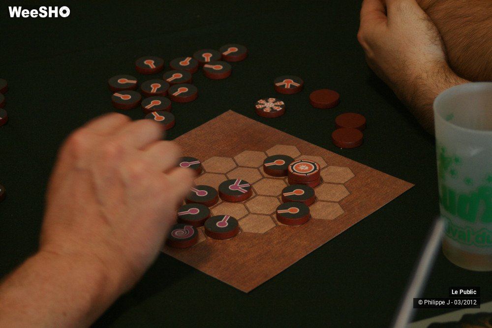 16/42 photos du spectacle Ludinord 2012