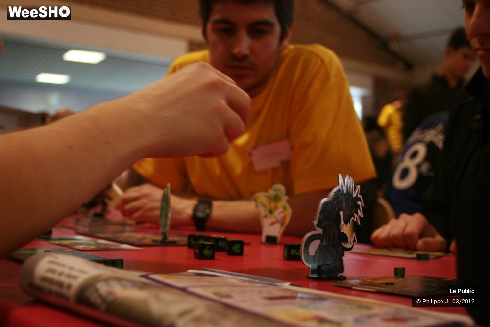 21/42 photos du spectacle Ludinord 2012