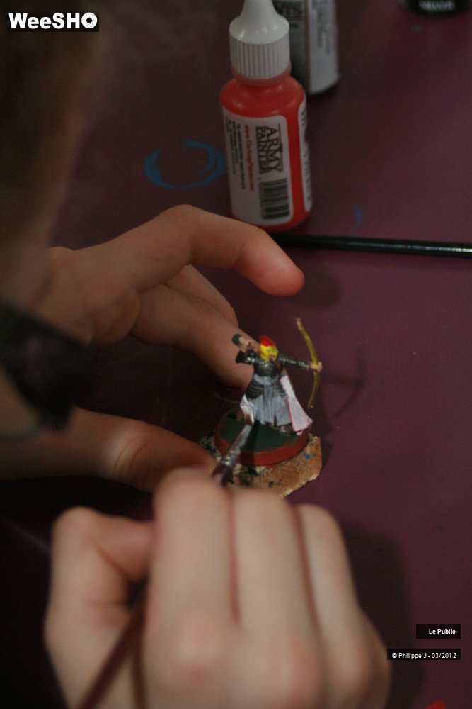 30/42 photos du spectacle Ludinord 2012