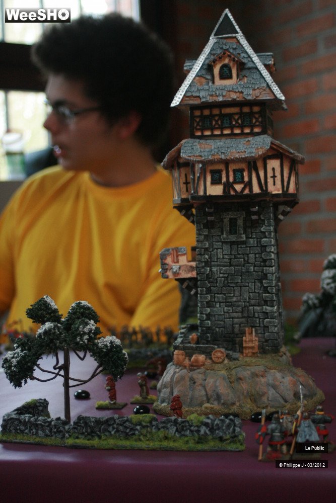 36/42 photos du spectacle Ludinord 2012