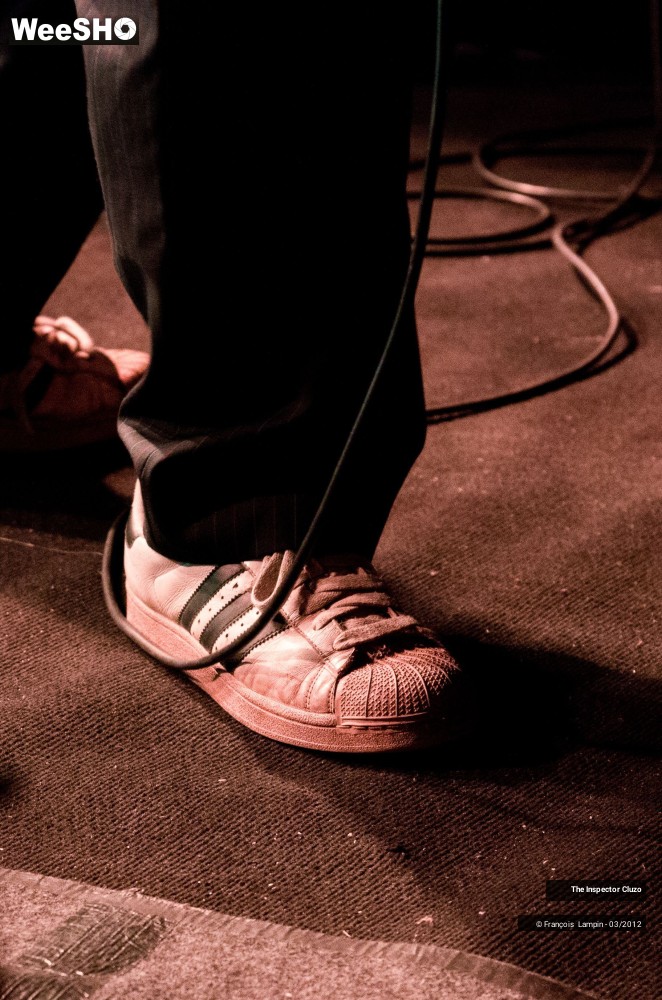 7/33 photos du spectacle The Inspector Cluzo