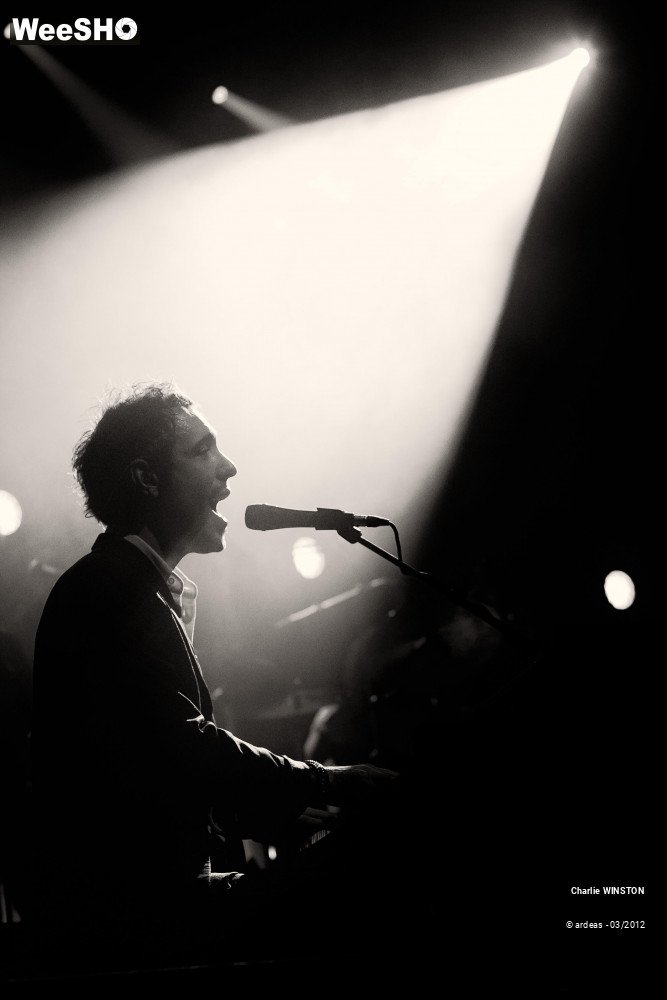 21/37 photos du spectacle Charlie Winston