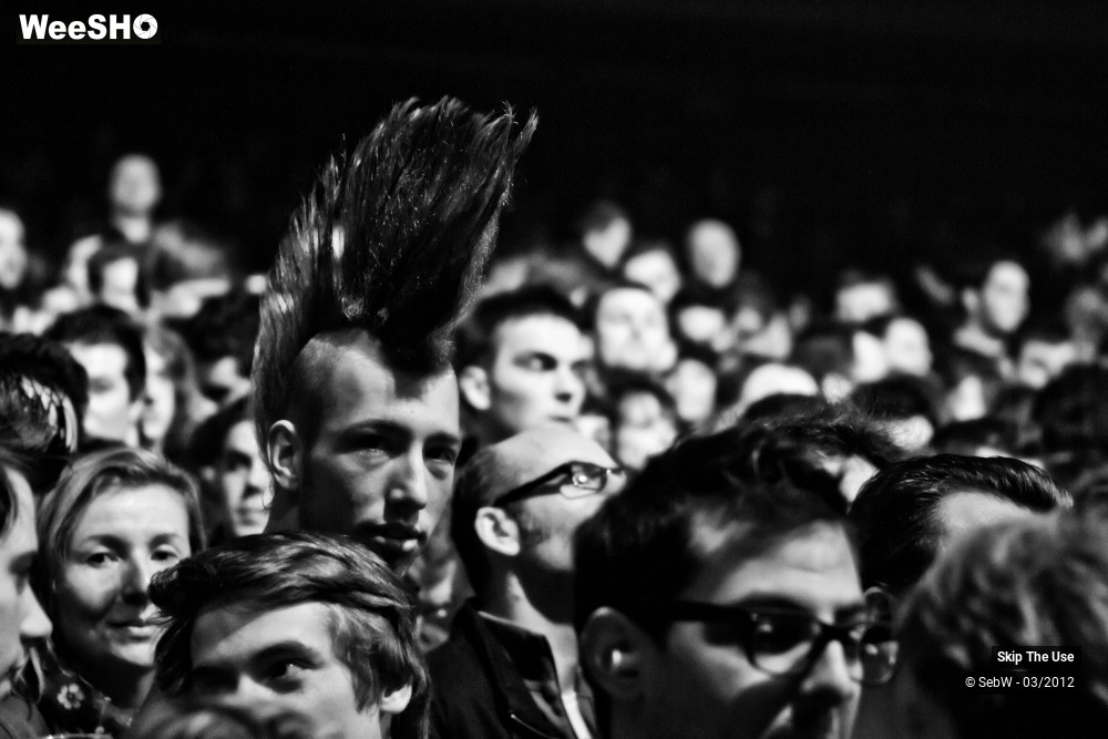 11/21 photos du spectacle Skip The Use