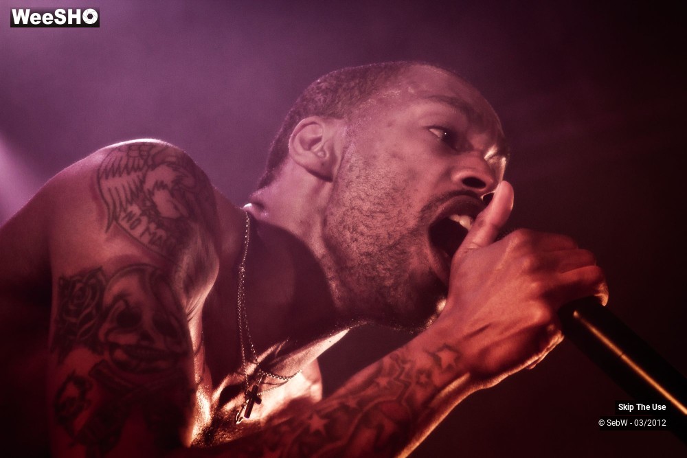 15/21 photos du spectacle Skip The Use