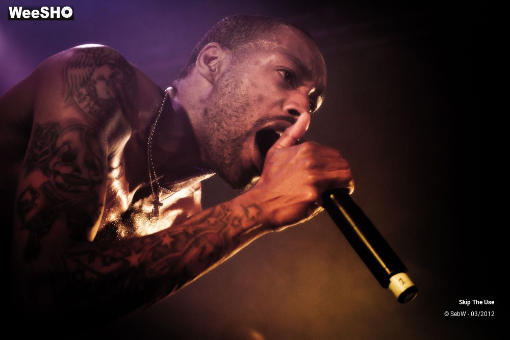 17/21 photos du spectacle Skip The Use