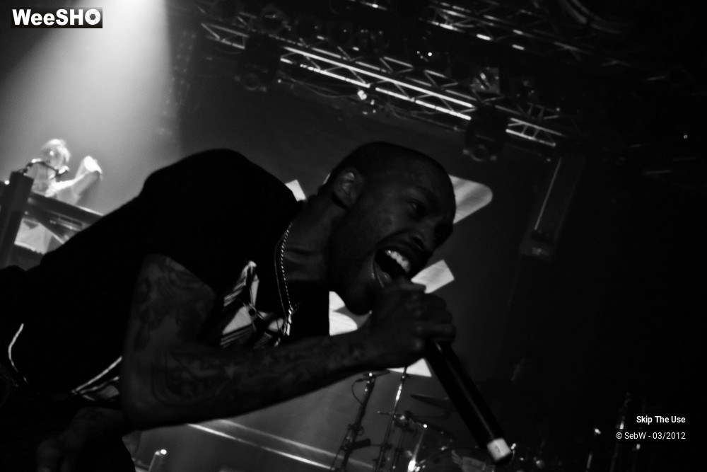 18/21 photos du spectacle Skip The Use