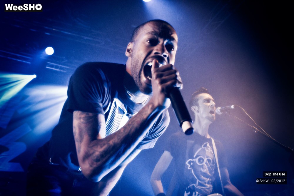 19/21 photos du spectacle Skip The Use