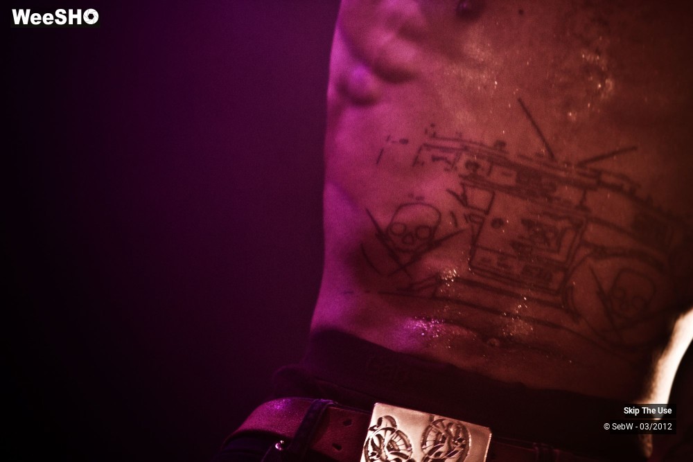 21/21 photos du spectacle Skip The Use